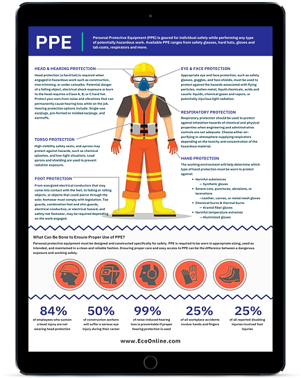 Personal Protective Equipment Poster | EcoOnline